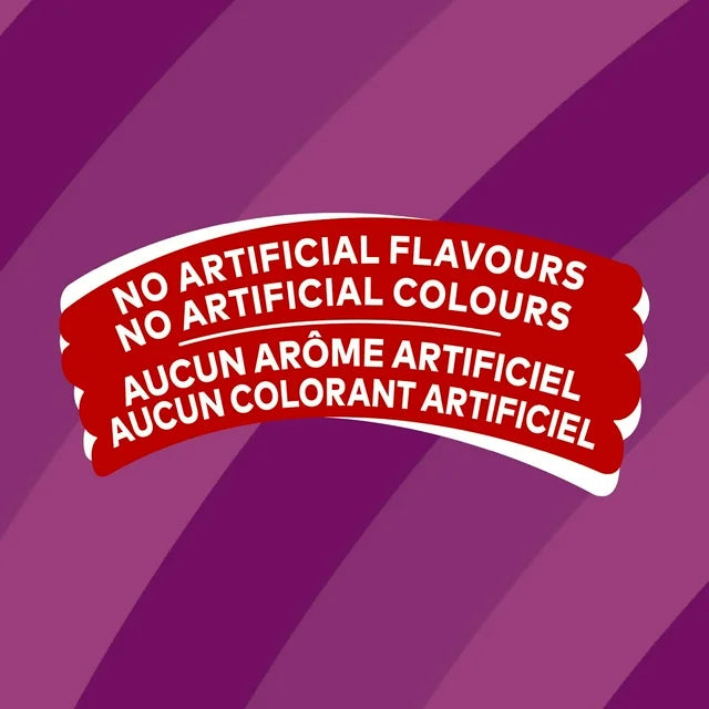 Lay's All Dressed flavoured Potato Chips